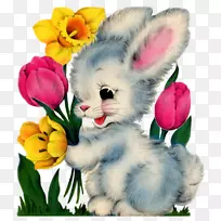复活节兔子明信片兔子剪贴画-复活节兔子