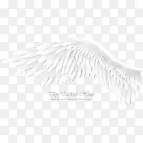 黑白画笔-天使之翼