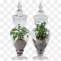 花瓶玻璃花盆室内植物-梅森罐