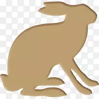 欧洲野兔复活节兔子宠物-阿克沙伊库马尔