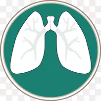肺间质性疾病肺动脉高压南方肺专家