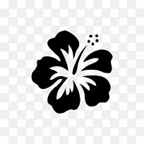 夏威夷芙蓉花剪贴画-夏威夷花