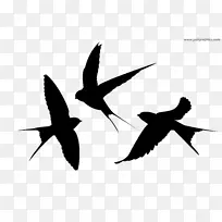 燕子轮廓鸟-动物轮廓
