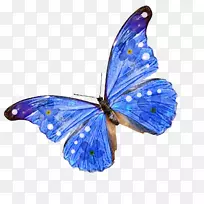 蝴蝶桌面壁纸夹艺术-蝴蝶