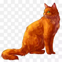 火猫武士