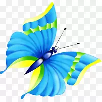 蝴蝶动画剪辑艺术-蜻蜓