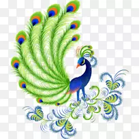 孔雀和孔雀。包括有关蓝色，白色，印度和绿色孔雀的事实和信息。饲养、拥有、饲养和饲养孔雀或孔雀。亚洲孔雀绿孔雀