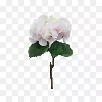 切花设计植物蜈蚣玫瑰-绣球花