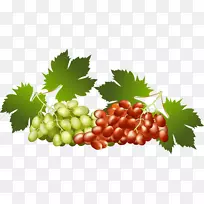 葡萄藤食品无籽水果葡萄