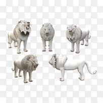 狮子孢子生物魔兽世界猫猎豹