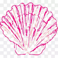 贝壳蛤夹艺术海螺