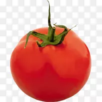波莫多罗技术蔬菜食品圣玛扎诺番茄