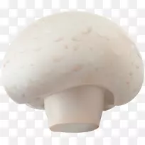 普通蘑菇真菌蘑菇