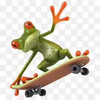 青蛙滑板夹艺术-两栖动物
