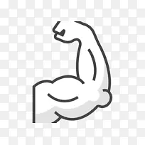 肱二头肌