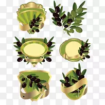 橄榄油橄榄枝食用植物-橄榄叶