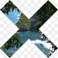 热带摄影，XX热带雨林-弗兰吉帕尼