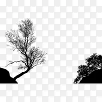 树枝剪贴画-黑白相间
