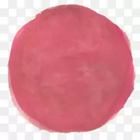 品红圆形花瓣粉红色m-水彩画仙人掌