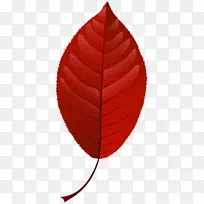 秋叶色红色剪贴画-叶水彩