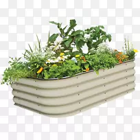 养床园艺花园花盆种植自己的蔬菜花园