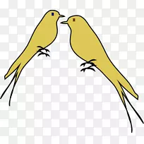 爱鸟鹦鹉夹艺术-爱情鸟