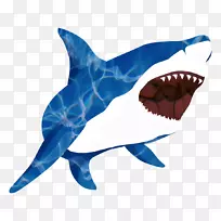 大白鲨鱼鳞鲨牙鲨幼鲨