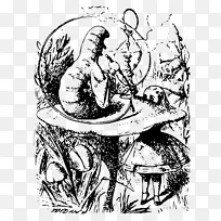爱丽丝在仙境中的冒险经历-透过镜子看到的毛毛虫，以及爱丽丝在那里发现的“心白兔皇后”-“仙境”。