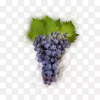 黑比诺葡萄，勃艮第葡萄酒，酿酒食品-葡萄