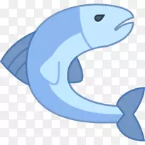 海豚一般宽吻海豚海洋鲨鱼死鱼