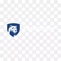 宾州阿尔托纳宾夕法尼亚州立大学宾夕法尼亚州尼塔尼州狮子男子篮球宾夕法尼亚州哈里斯堡宾夕法尼亚州尼塔尼狮子足球-蓝色技术