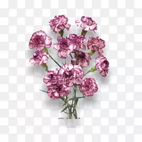 红花切花紫丁香-勃艮第花