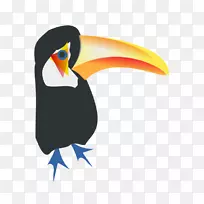 Toco Toucan鸟夹艺术