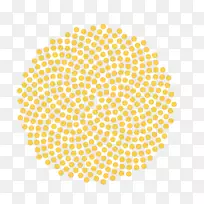 螺旋叶形几何漩涡斐波那契数向日葵