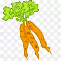 胡萝卜食品叶菜素食菜胡萝卜
