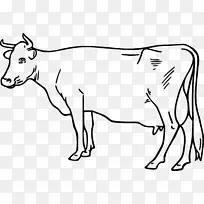 艾尔郡牛画剪贴画-克拉拉贝尔牛