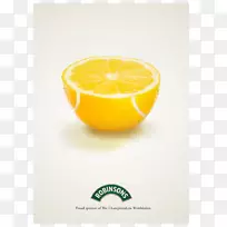 柠檬柠檬酸，柠檬酸，酸橙，水果-麦克