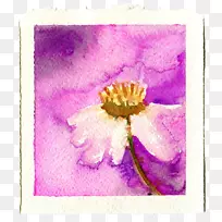 水彩画紫丁香