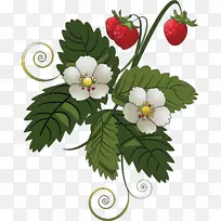 草莓派水果夹艺术-花卉藤