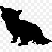 索马里猫剪影摄影小猫黑猫猫