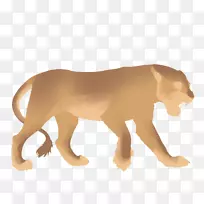 猫科狮子美洲狮-舞狮