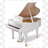 川外乐器数码钢琴-钢琴