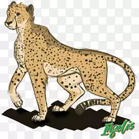 猫科猎豹狮猎豹