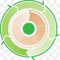 标志-绿色圆圈