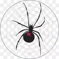 工作表加法数学-蜘蛛网