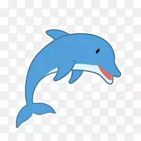 海豚鱼鲨鱼绘图应用程序河豚鱼-订阅