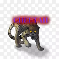 猫科豹类动物食肉猎豹