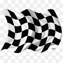 怪物能源NASCAR杯系列赛车旗赛车达林顿赛道-终点线