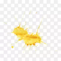 昆虫特写宏观摄影桌面壁纸-黄色