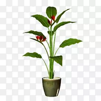 花盆室内植物剪贴画-花盆植物